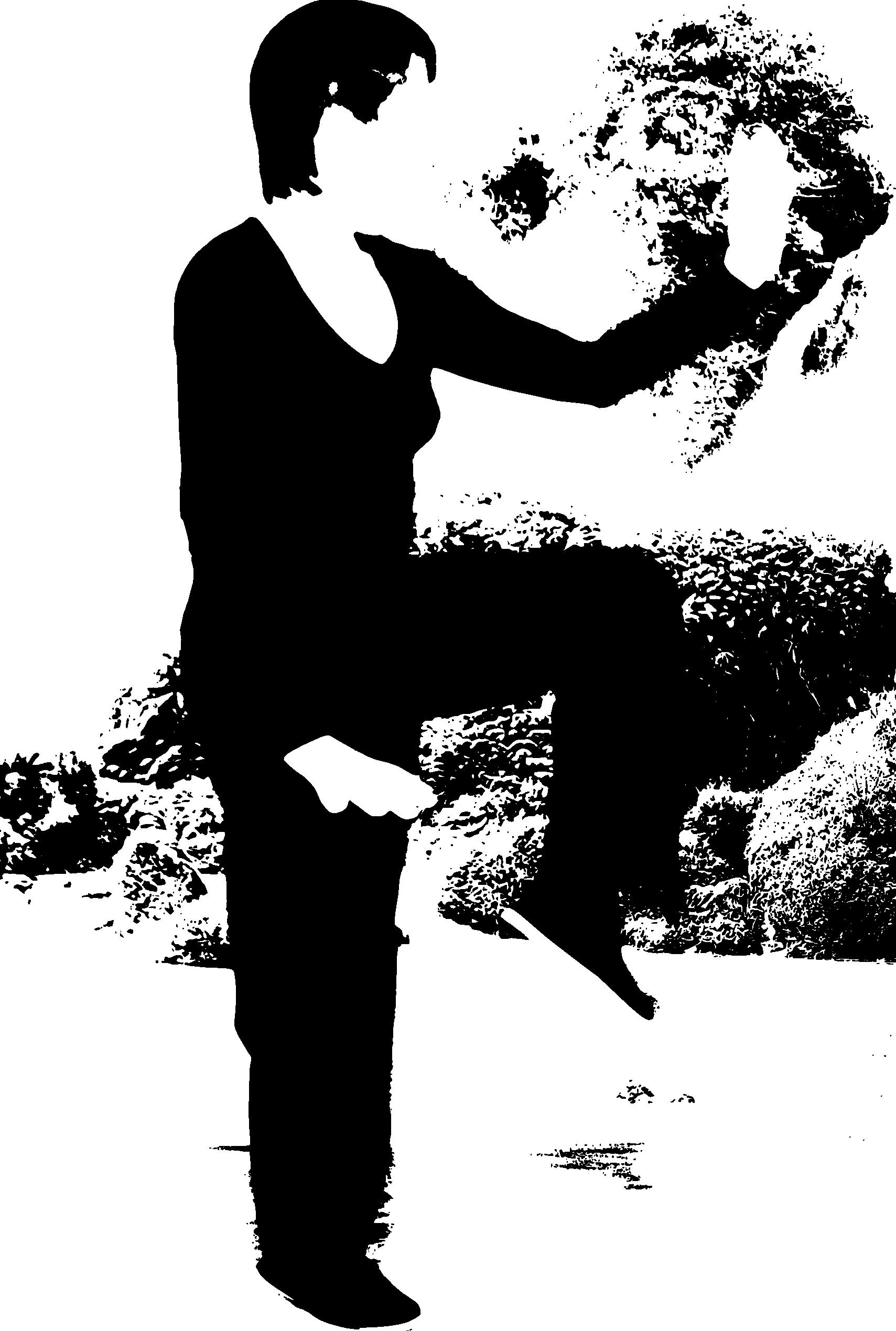 Yang Tai Chi